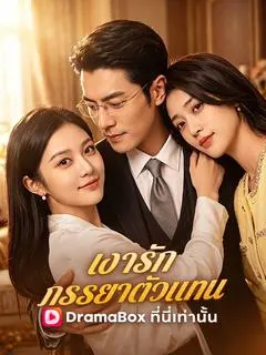 เงารักภรรยาตัวแทน