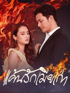 แค้นรักเมียเก่า